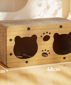 Bear Single Layer Small Size