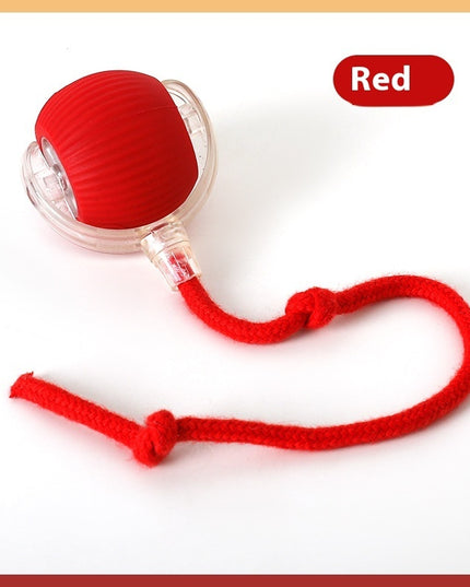 Interactive Cat Toy Ball Super Drive Cat Rolling Ball