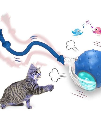 Interactive Cat Toy Ball Super Drive Cat Rolling Ball