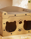 Scratch Resistant / Bear Double Door Double Layer