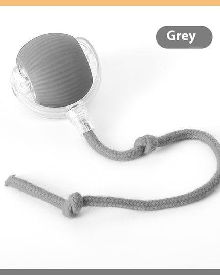 Interactive Cat Toy Ball Super Drive Cat Rolling Ball