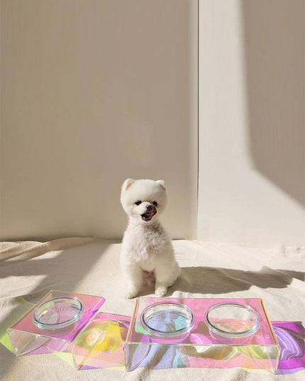 Acrylic Pet Dazzling Bowl Food Basin Small Dog