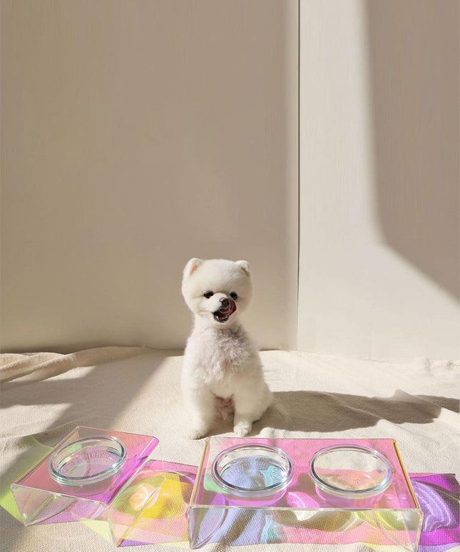 Acrylic Pet Dazzling Bowl Food Basin Small Dog