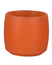 Orange / spain