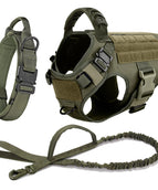 Green Harness Set