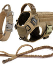 Brown Harness Set / S / United States