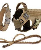 Brown Harness Set