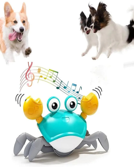 Engaging Interactive Dancing Crab Dog Toy with Musical Sounds - Entertaining and Stimulating Pet Toy for Dogs and Cats - Keeps Y