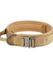 Brown Collar / XL / United States