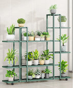 Green - C