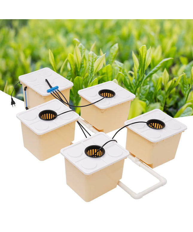 11L 5 Bucket Plant Hydroponic Grow System Kit Indoor Irrigation Cultivation Drip Growing System For Home DHL