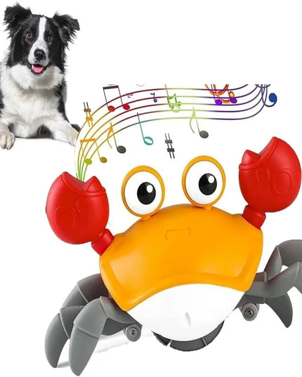 Engaging Interactive Dancing Crab Dog Toy with Musical Sounds - Entertaining and Stimulating Pet Toy for Dogs and Cats - Keeps Y
