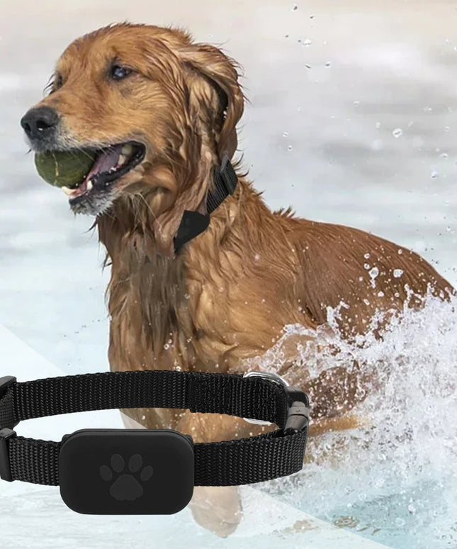 Dog Tracker with Adjustable Collar Cat Locator Smart Pet Locator for Cats and Dogs