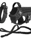Black Harness Set / S / United States