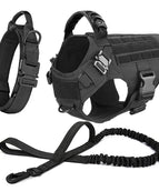 Black Harness Set