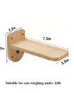 cat step c / United States