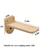 cat step c
