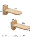 2pcs cat steps c / United States