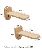 2pcs cat steps c