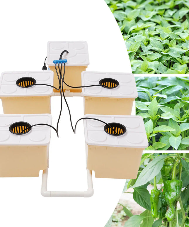 11L 5 Bucket Plant Hydroponic Grow System Kit Indoor Irrigation Cultivation Drip Growing System For Home DHL