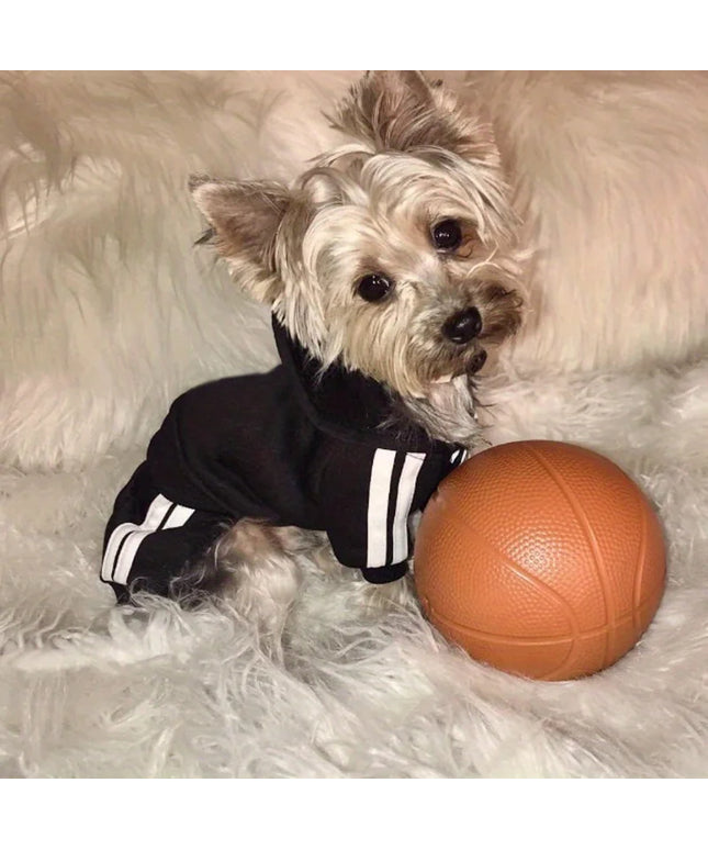 Button up pet clothes, pet supplies, cat clothes, black dog hoodie, soft dog hoodie, pet four legged hoodie, indoor and outdoor