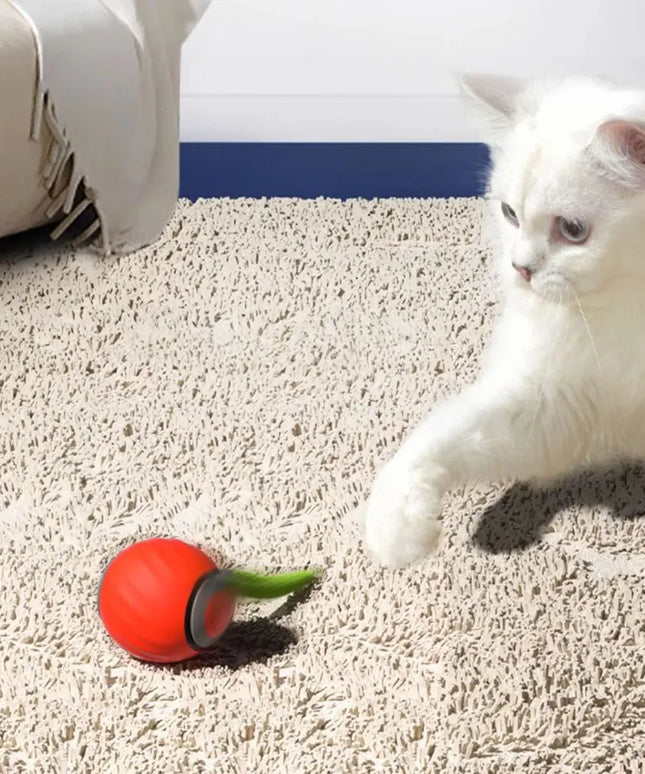 Automatic Moving Cat Toy Ball Smart Cat Toys USB Rechargeable Smart Cat Toys Ball Speedy Tail Cat Toy Cat Interactive Ball Toys