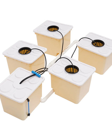 11L 5 Bucket Plant Hydroponic Grow System Kit Indoor Irrigation Cultivation Drip Growing System For Home DHL