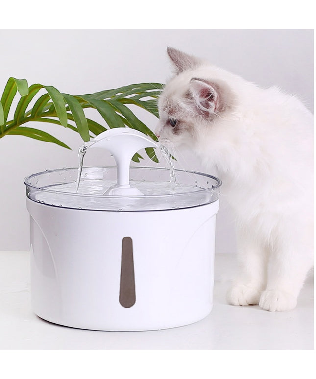 Pet Water Dispenser Intelligent Automatic Circulating Filter Water Dispenser