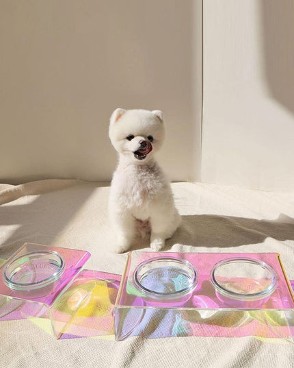 Acrylic Pet Dazzling Bowl Food Basin Small Dog
