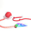 The Dragonflys Tail Is Red
