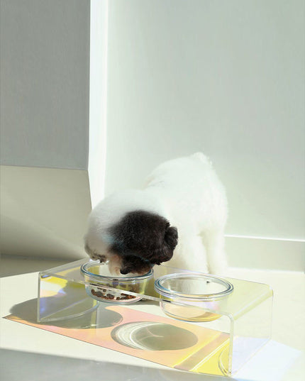 Acrylic Pet Dazzling Bowl Food Basin Small Dog