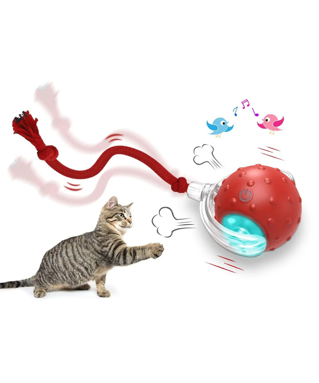 Interactive Cat Toy Ball Super Drive Cat Rolling Ball